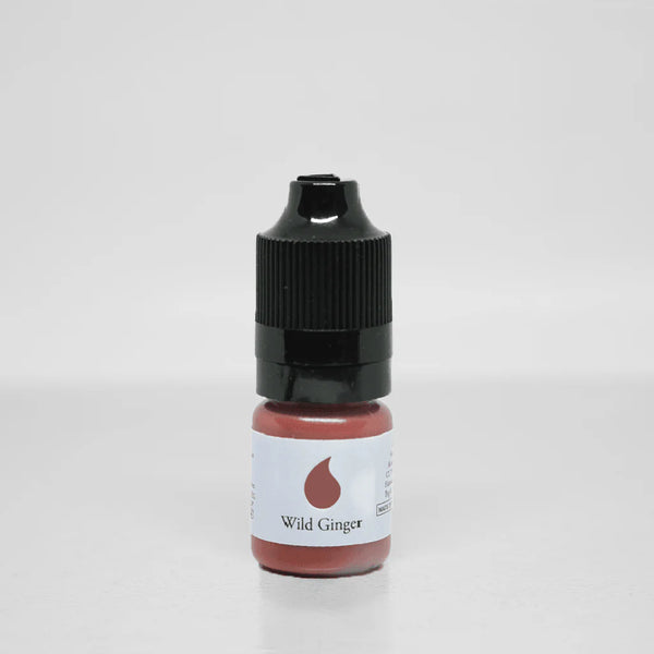 Xtreme Ombre Wild Ginger