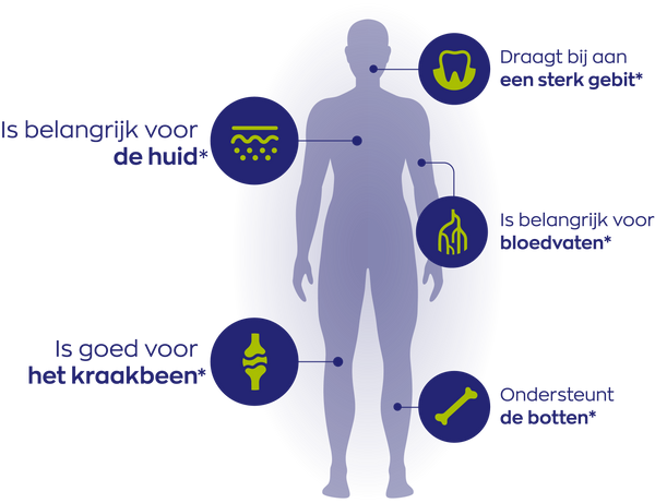 Vitakruid Collageen Solugel® poeder
